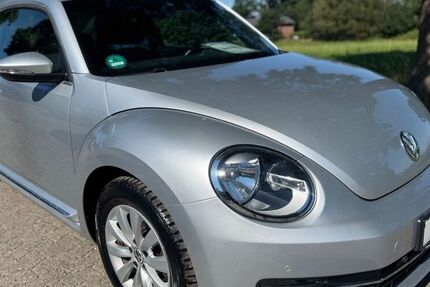 VW Beetle