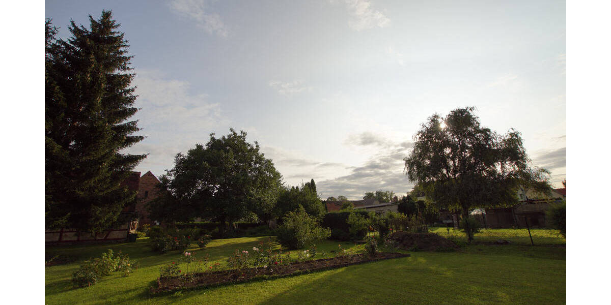 Schkopau OT Hohenweiden: 1382 qm Baugrundstück für Haus-Neubau - provisionsfrei + bauträgerfrei zimmer