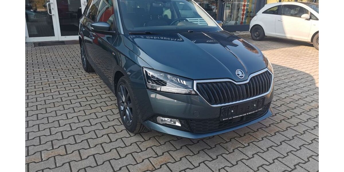 Skoda Fabia 99.897 km 12.490 &euro; Altfalter 92548