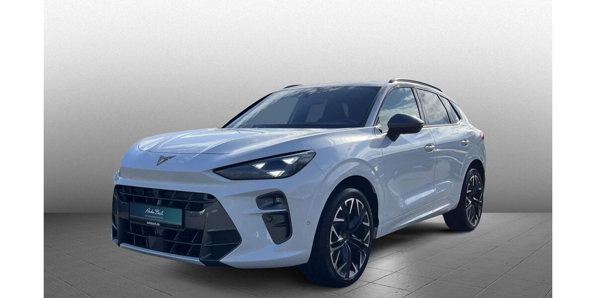 Cupra Terramar 11.000 km 39.880 &euro; Bad Camberg 65520