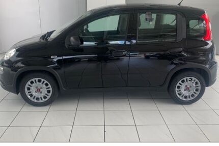 Fiat Panda 5.641 km 11.950 € Rheine 48432