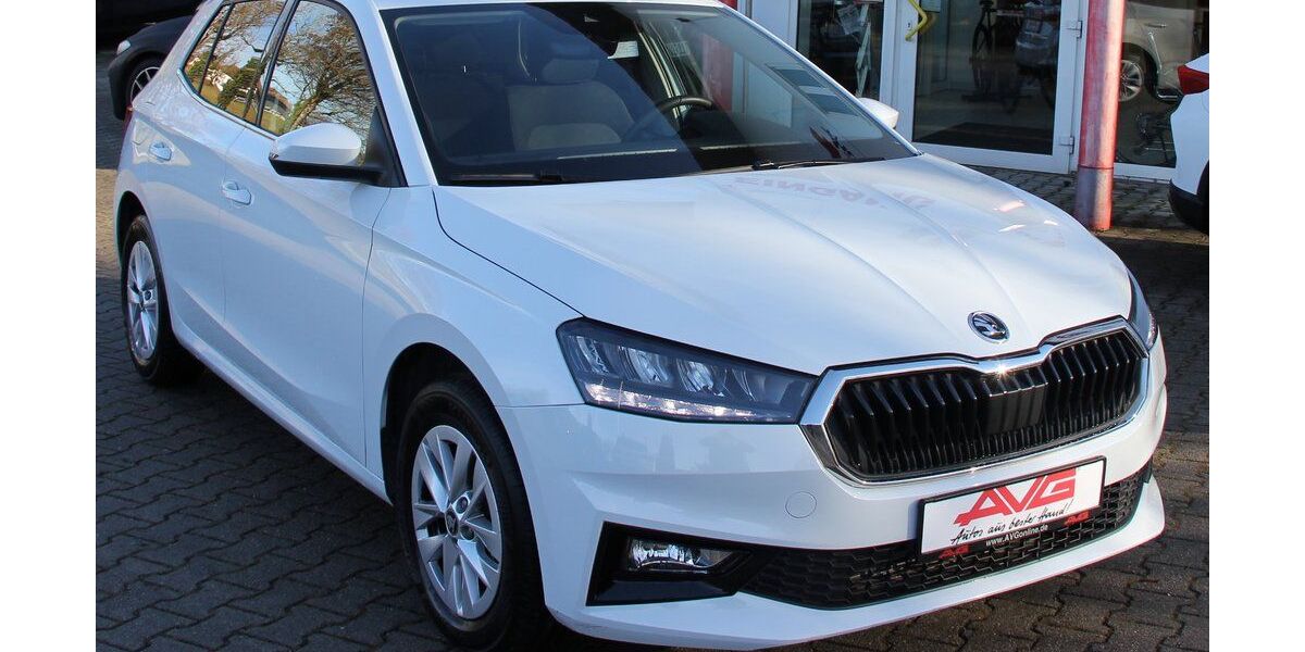 Skoda Fabia 27.554 km 18.900 &euro; Hüllhorst 32609