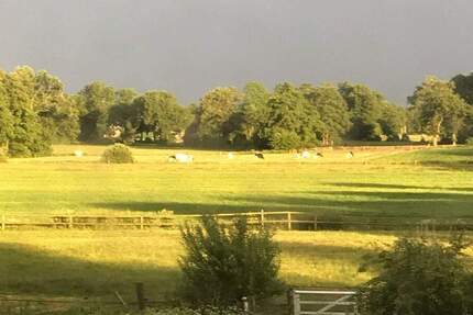 Haus Wingst - 6 Zimmer, 380 m&sup2;, 599.000&euro; | Angebot:25214110