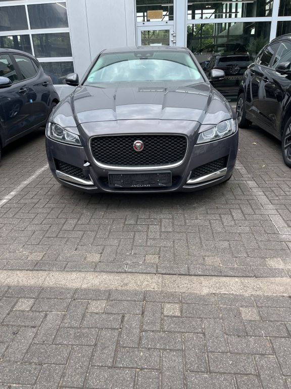 XF