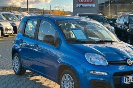 Fiat Panda 3.000 km 17.480 &euro; Trier 54294