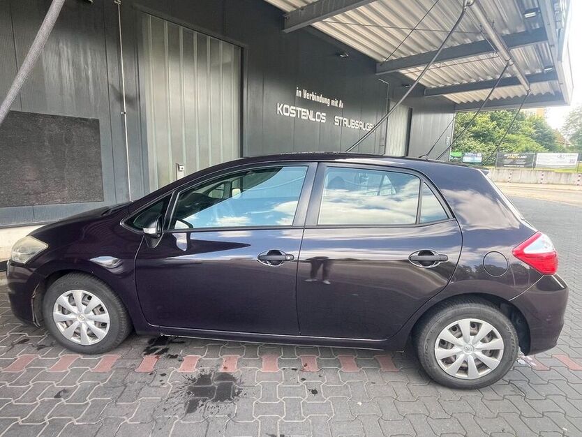 Auris