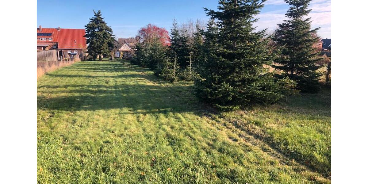 Einfamilienhaus Grafhorst - 6 Zimmer, 140 m&sup2;, 295.000&euro; | Angebot:27007533