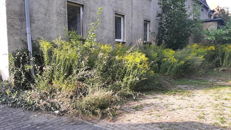 Einfamilienhaus Bad Lauchstädt - 94.999&euro; | Angebot:25637637
