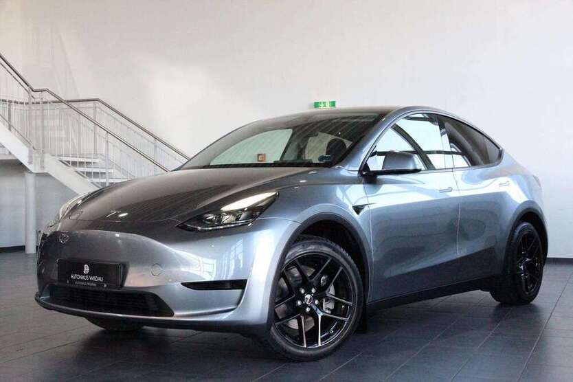 Model Y