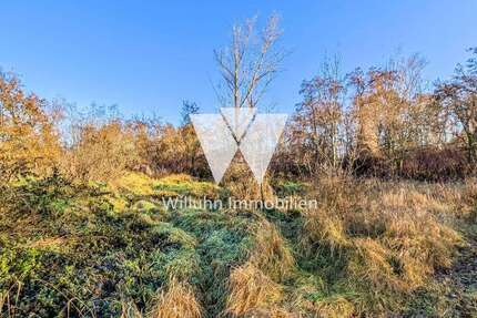 Grundstück in Borna 120.000 € 61204 m² zimmer