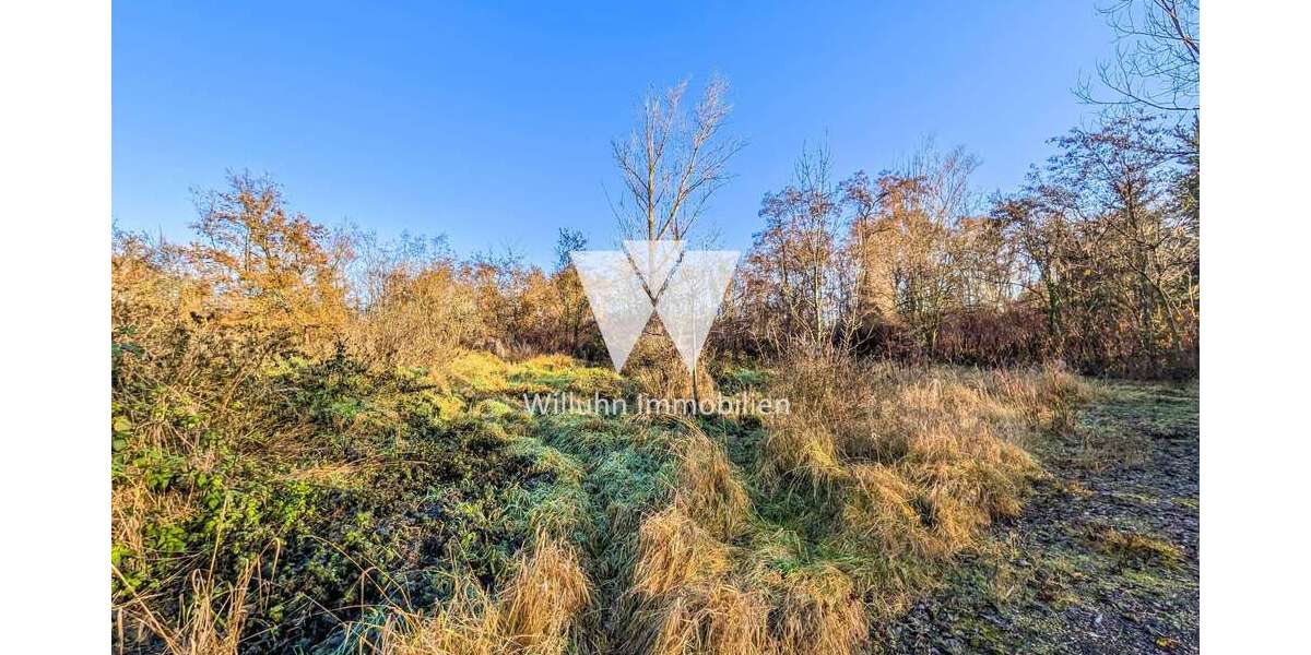 Grundstück in Borna 120.000 € 61204 m² zimmer