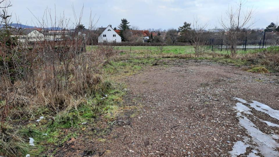 Grundstück Arnstadt - 100&euro; | Angebot:23650267