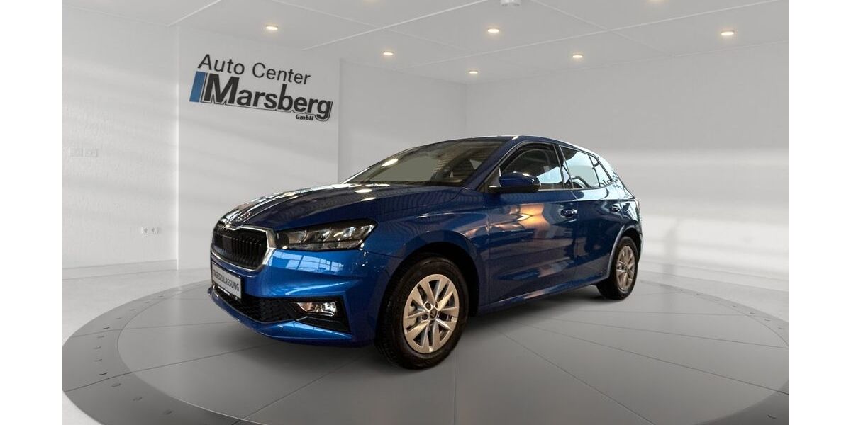 Skoda Fabia 1.500 km 21.500 &euro; Marsberg 34431