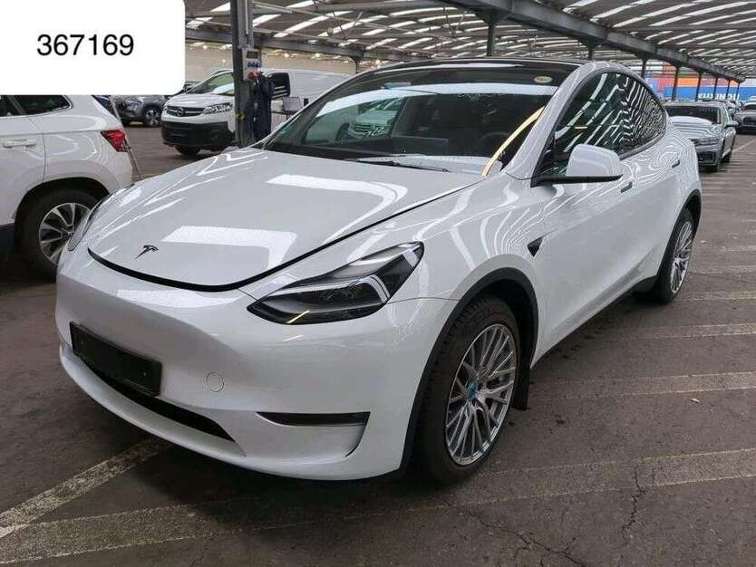 Model Y