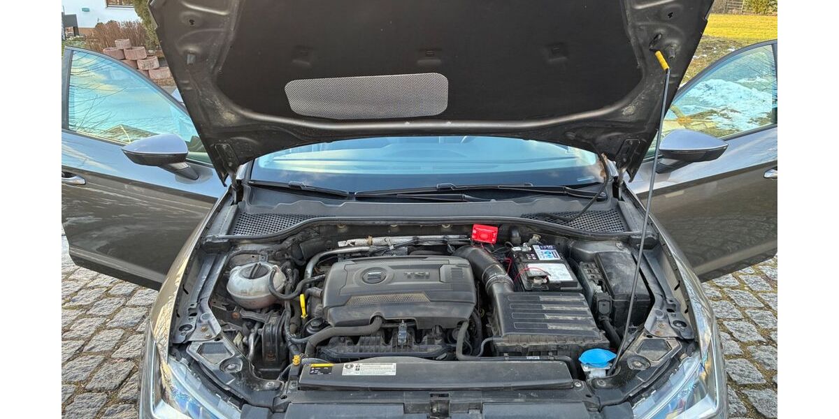 Seat Leon 200.000 km 7.800 &euro; Ettringen 86833