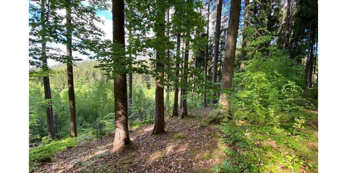 Grundstück Flossenbürg - 170.000&euro; | Angebot:26036735