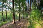 Grundstück Flossenbürg - 170.000&euro; | Angebot:26036735