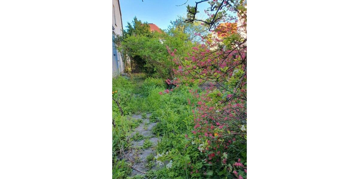 Einfamilienhaus Falkenberg/Elster Elster - 8 Zimmer, 160 m&sup2;, 184.890&euro; | Angebot:26414005