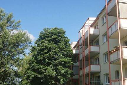 Erstbezug nach Sanierung! Schöne 2-Zimmer-Wohnung mit Dusche, Balkon und Blick ins Grüne in Cracau. 2 zimmer
