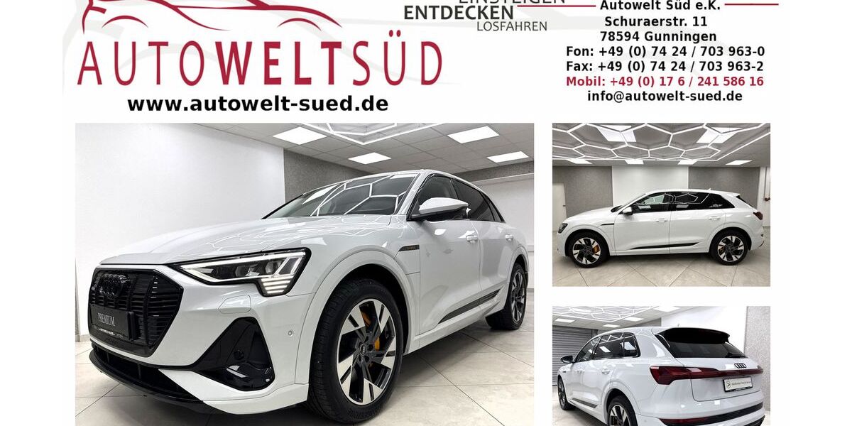 Audi e-tron 40.000 km 35.450 &euro; Gunningen 78594