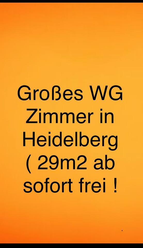 WG-Zimmer (29 m²) in Heidelberg ab sofort frei!