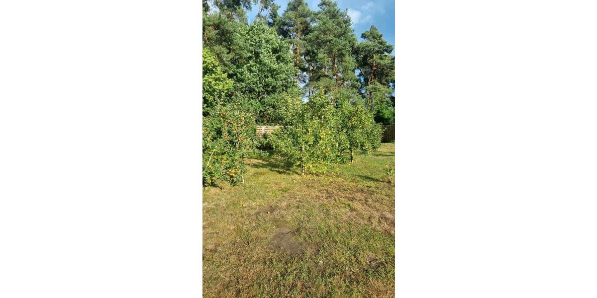 Einfamilienhaus Usedom - 5 Zimmer, 145 m&sup2;, 530.000&euro; | Angebot:26398714