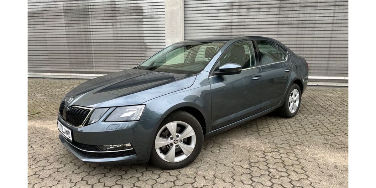 Skoda Octavia 11.000 km 16.995 &euro; Norderstedt bei Hamburg 22844
