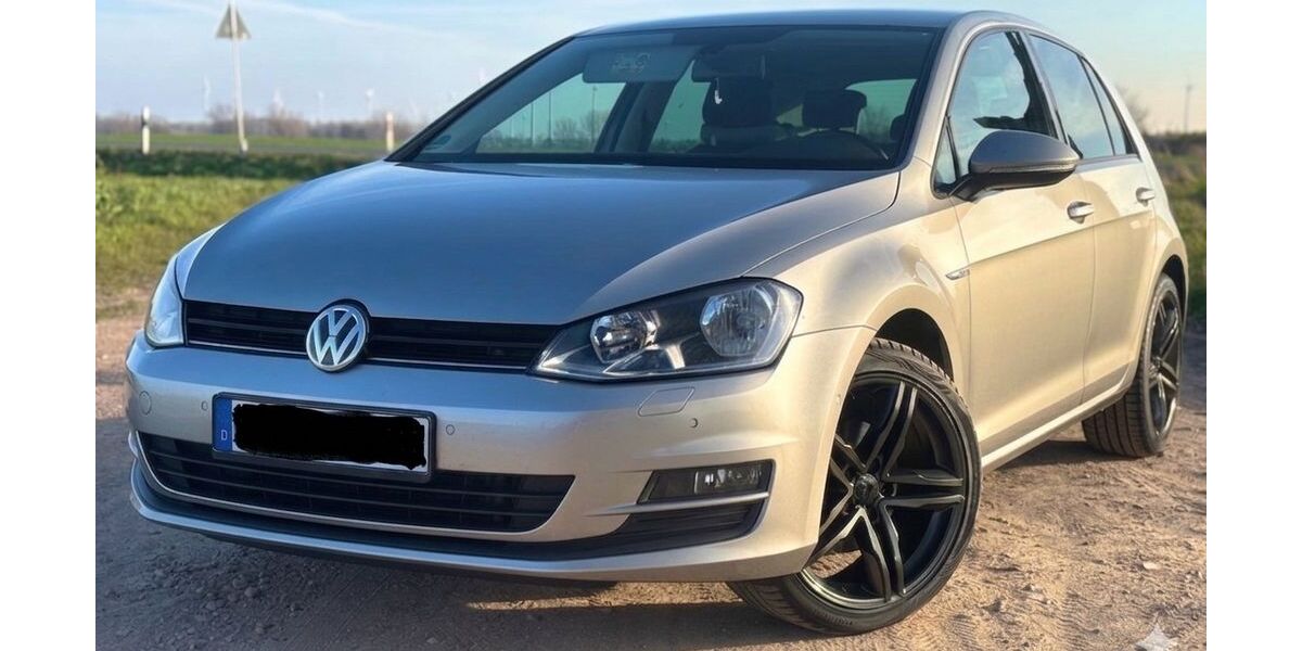 VW Golf 180.000 km 10.500 &euro; Erxleben 39343