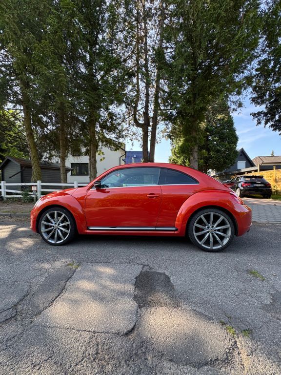 Beetle