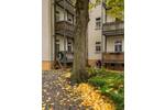 Etagenwohnung Leipzig Südvorstadt - 2 Zimmer, 54 m&sup2;, 700&euro; | Angebot:26814399