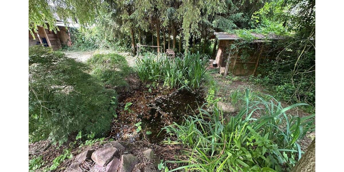 Mehrfamilienhaus, Wohnhaus Beckingen Erbringen - 249.000&euro; | Angebot:26859293