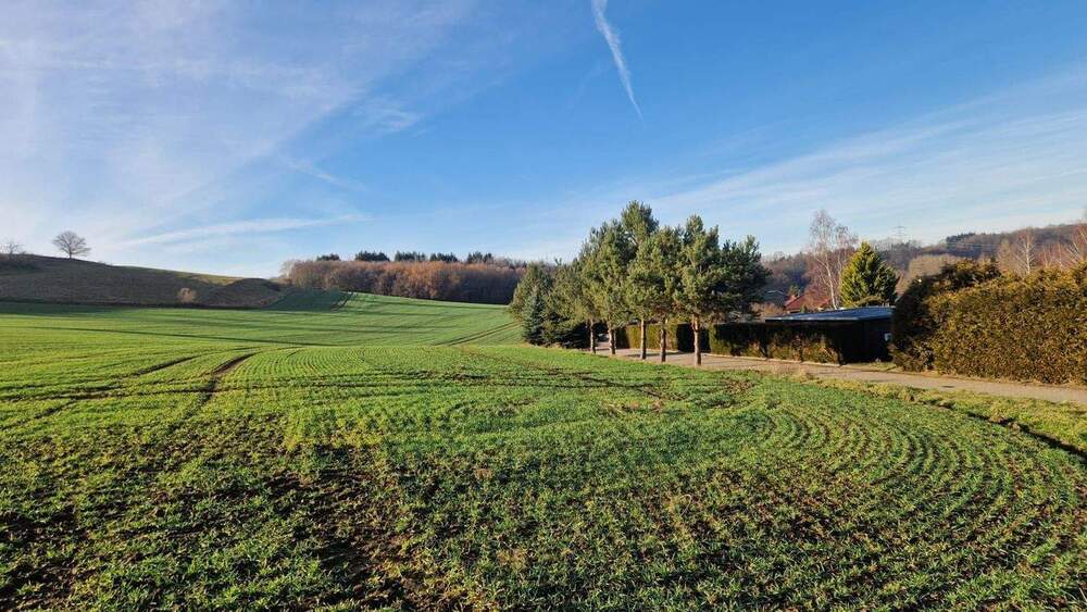 Grundstück Roßwein Niederstriegis - 99.000&euro; | Angebot:25728546