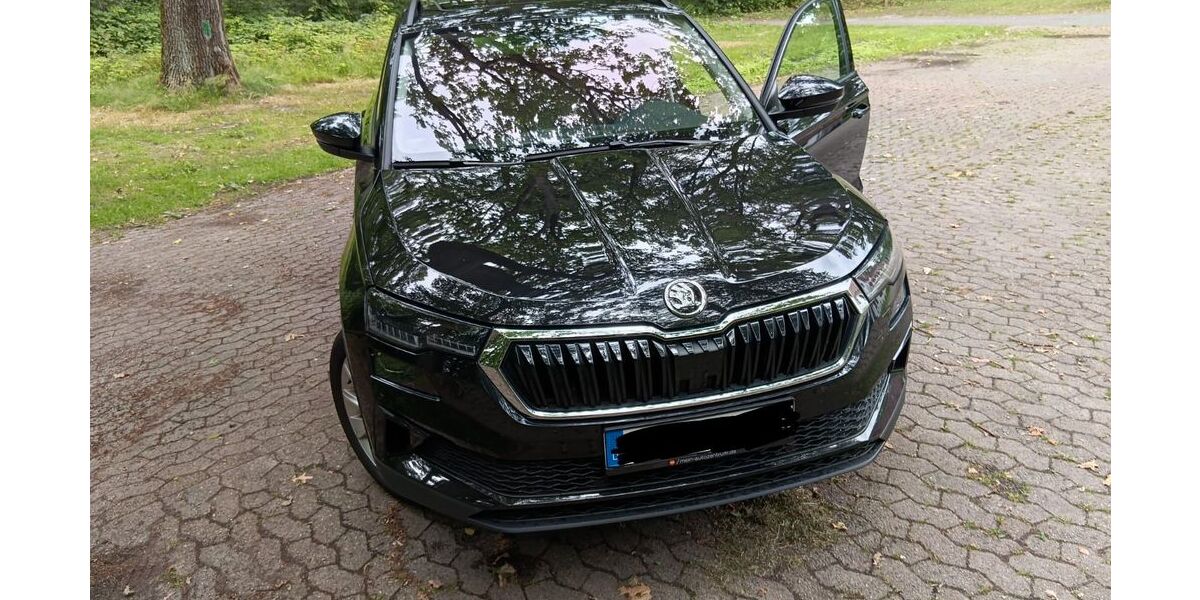 Skoda Karoq 74.000 km 21.900 &euro; Wittingen 29378
