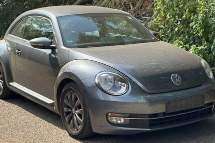 VW Beetle