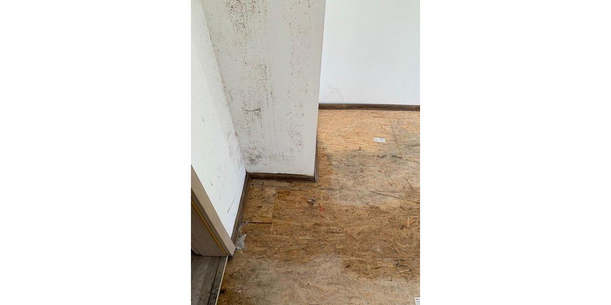 Mehrfamilienhaus, Wohnhaus Apolda - 10 Zimmer, 1.000 m&sup2;, 90.000&euro; | Angebot:27031318