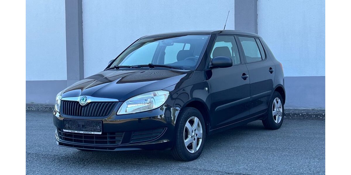Skoda Fabia 135.000 km 3.990 &euro; Geesthacht 21502