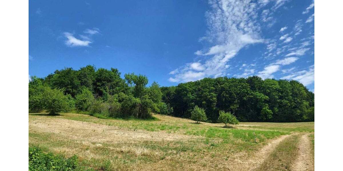 Grundstück Meinhard Eschwege - 10.000&euro; | Angebot:25741881