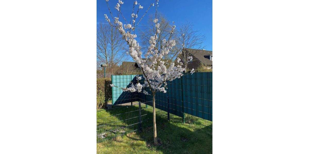 Doppelhaushälfte Hamburg Neugraben-Fischbek - 5 Zimmer, 146 m&sup2;, 658.000&euro; | Angebot:25657329