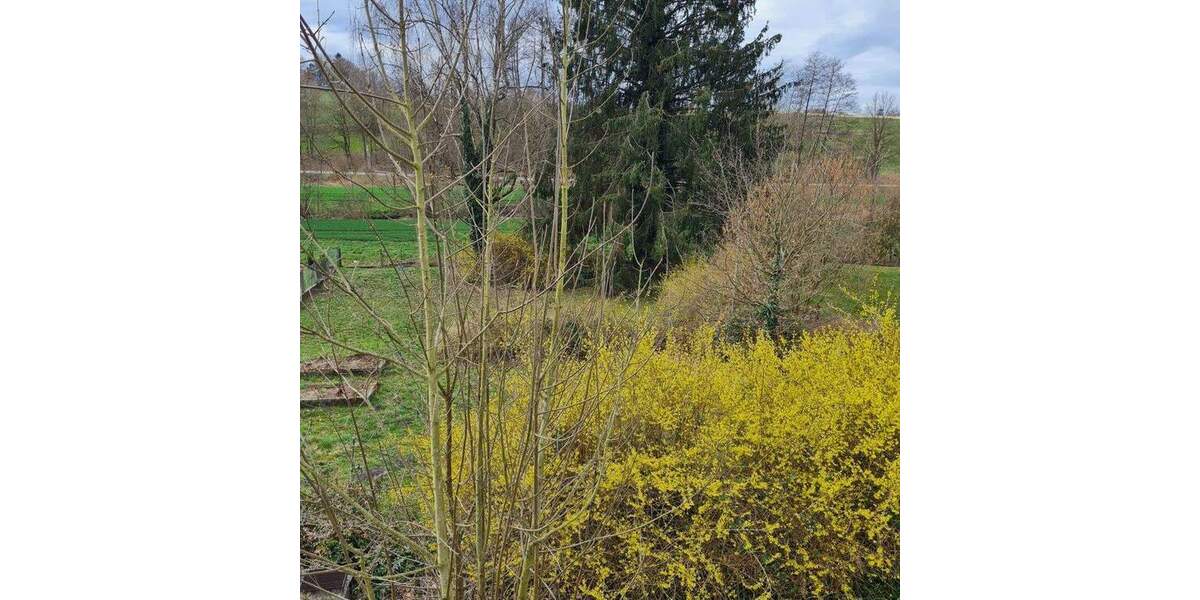 Grundstück Neusäß / Hammel Hammel - 590.000&euro; | Angebot:25713862