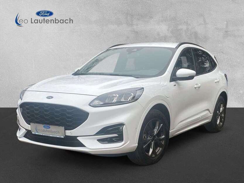 Kuga
