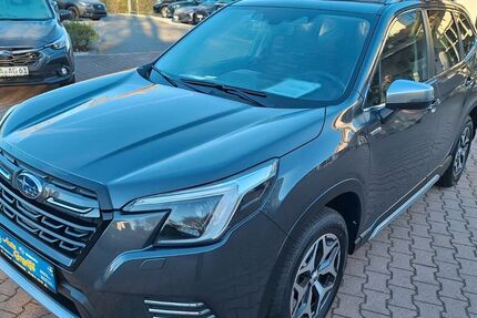 Subaru Forester 31.131 km 33.900 &euro; Bad Kötzting 93444