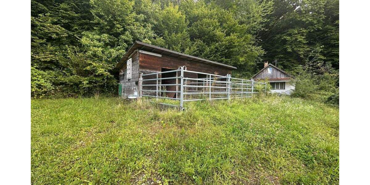 Traumgrundstück mit kleinem Wohn- und Wochenendhaus zimmer