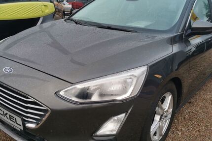 Ford Focus 50.783 km 15.390 &euro; Hoppegarten OT Hönow 15366