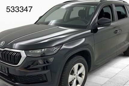 Skoda Kodiaq 125.000 km 24.450 &euro; Steinbach-Hallenberg OT Herges-Hallenberg 98587