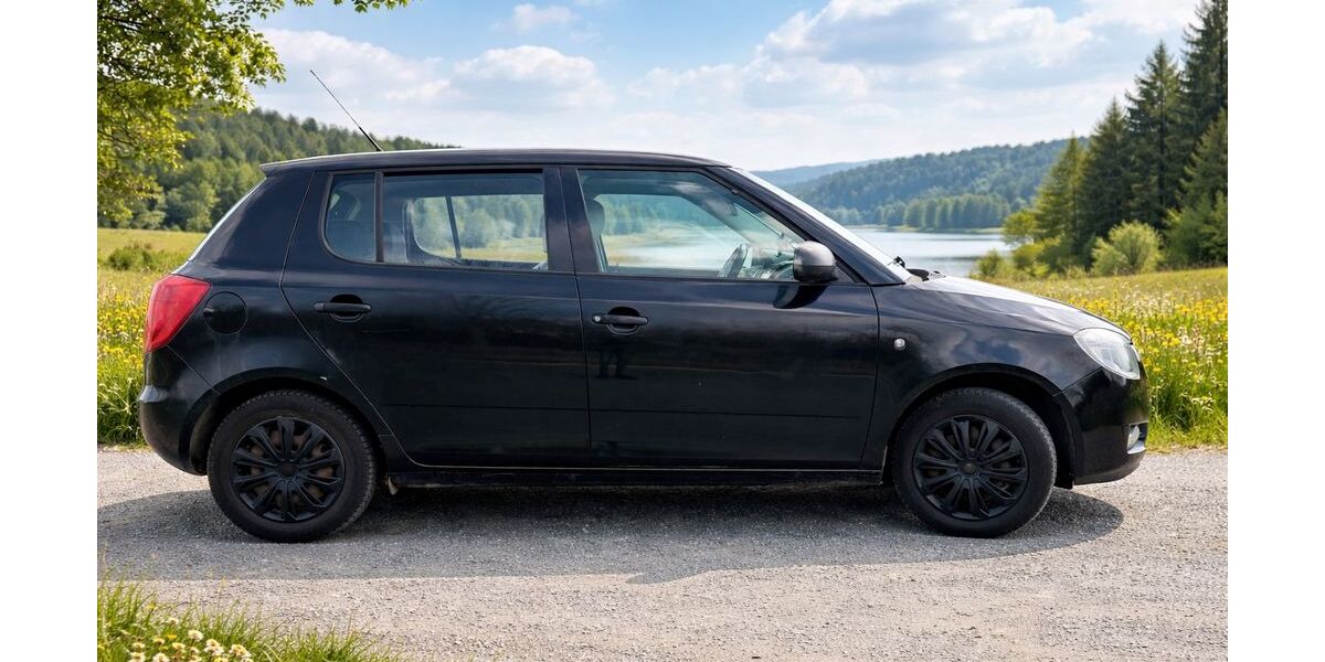 Skoda Fabia 170.000 km 1.500 &euro; Goslar 38642