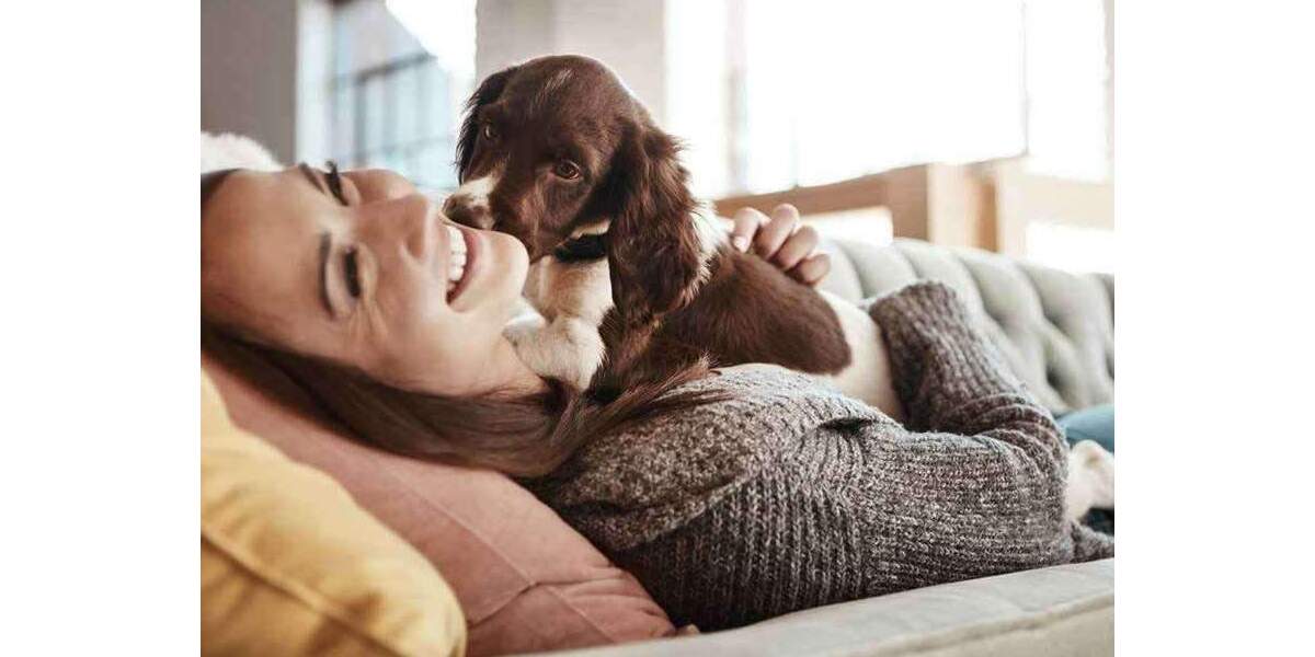 Einfamilienhaus Hürtgenwald Hürtgen - 4 Zimmer, 160 m&sup2;, 326.079&euro; | Angebot:25358236