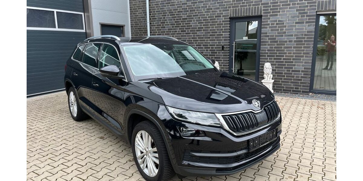 Skoda Kodiaq 196.304 km 18.500 &euro; Neuenhaus 49828