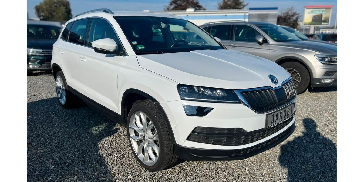 Skoda Karoq 95.650 km 19.690 &euro; Husum 25813