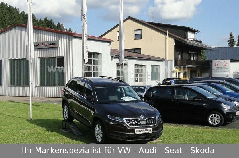 Skoda Kamiq 19.075 km 27.090 € Wallenfels 96346