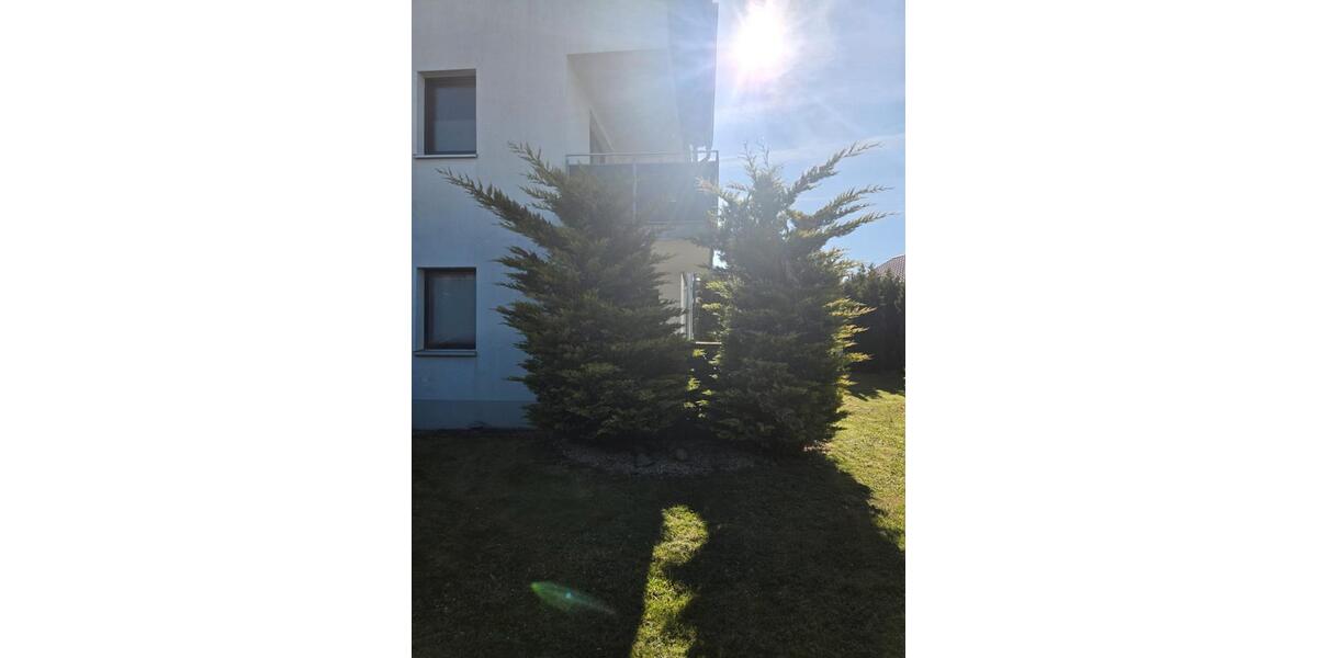 Erdgeschoßwohnung Horn-Bad Meinberg Bad Meinberg - 3 Zimmer, 84 m&sup2;, 790&euro; | Angebot:26384285